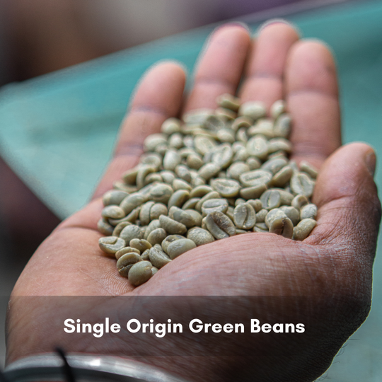 Arabica Washed Peaberry Green Beans